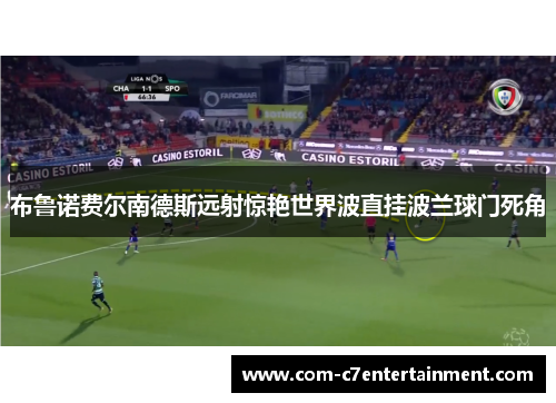 布鲁诺费尔南德斯远射惊艳世界波直挂波兰球门死角 布鲁诺费尔南德斯远射惊艳世界波直挂波兰球门死角