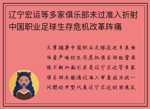 辽宁宏运等多家俱乐部未过准入折射中国职业足球生存危机改革阵痛